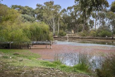 House For Sale - VIC - Gunbower - 3566 - GUNBOWER CREEK FRONTAGE  (Image 2)