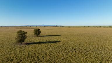 Mixed Farming Sold - NSW - Moree - 2400 - Under Offer  (Image 2)