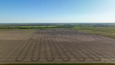 Mixed Farming Sold - NSW - Moree - 2400 - Under Offer  (Image 2)