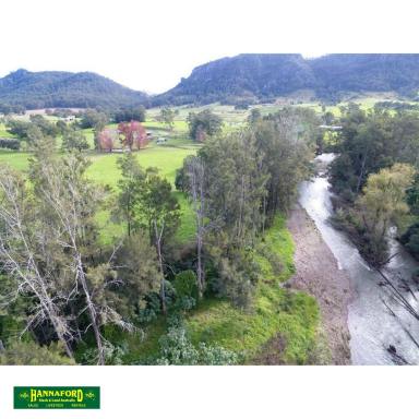 Lifestyle For Sale - NSW - Gloucester - 2422 - A RARE GEM  (Image 2)