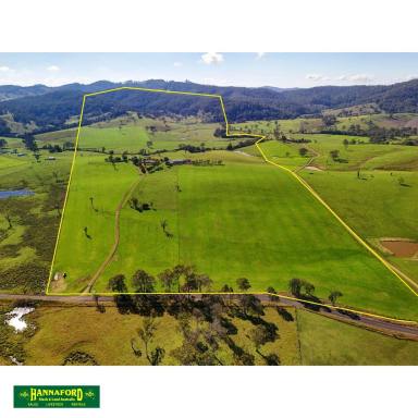 Lifestyle For Sale - NSW - Waukivory - 2422 - IVORYVALE  (Image 2)