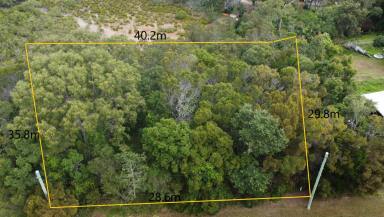 Residential Block For Sale - QLD - Macleay Island - 4184 - Double Block!  (Image 2)