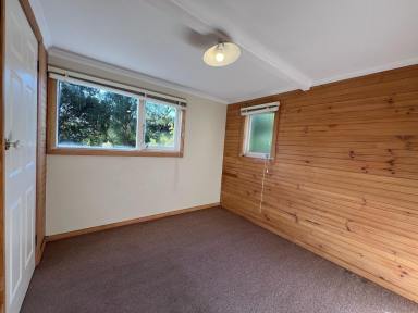 Flat Leased - TAS - Mount Stuart - 7000 - Central & Sunny 1 bedroom + study  (Image 2)