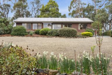 House For Sale - TAS - Koonya - 7187 - Charming brick home nestled in coastal community. Ideal for beach lovers, boaters and first home buyers!  (Image 2)