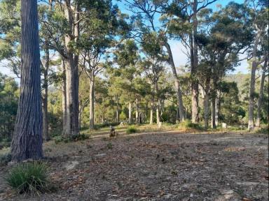 Residential Block For Sale - TAS - Sloping Main - 7186 - Tranquility, trees, ponds and birdsong. An "Off Grid" location  (Image 2)