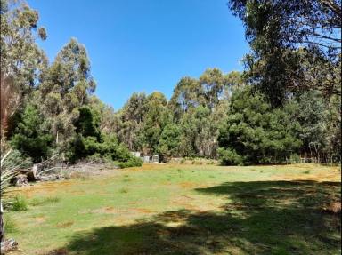 Residential Block For Sale - TAS - Sloping Main - 7186 - Tranquility, trees, ponds and birdsong. An "Off Grid" location  (Image 2)