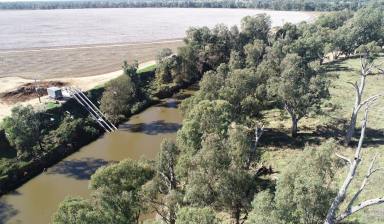 Cropping For Sale - NSW - Narromine - 2821 - Macquarie River Irrigation Gem  (Image 2)
