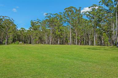 Residential Block For Sale - NSW - Verges Creek - 2440 - Discover Grandeur at East Edge Estate: Where Size Reigns Supreme  (Image 2)