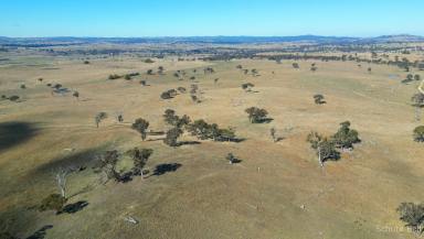 Mixed Farming For Sale - NSW - Gunning - 2581 - Farming or Grazing in a Choice Location  (Image 2)