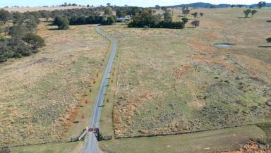 Mixed Farming Auction - NSW - Gunning - 2581 - Enviable Country Lifestyle  (Image 2)
