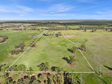 Residential Block For Sale - VIC - Goornong - 3557 - Beautiful allotment, titled and ready to go  (Image 2)