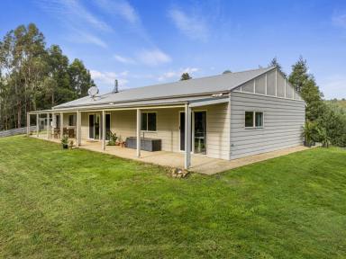 Acreage/Semi-rural For Sale - VIC - Wonga - 3960 - Modern, Energy-Efficient Homestead Offers Serene Self-Sufficiency  (Image 2)