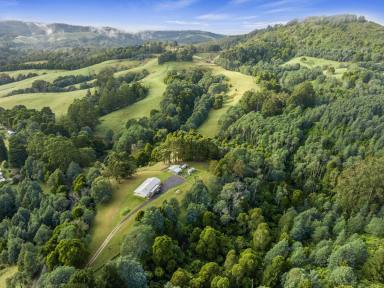 Acreage/Semi-rural For Sale - VIC - Wonga - 3960 - Modern, Energy-Efficient Homestead Offers Serene Self-Sufficiency (Image 2)