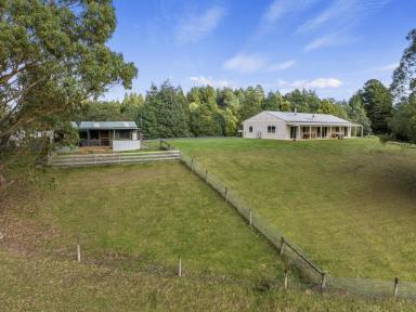 Acreage/Semi-rural For Sale - VIC - Wonga - 3960 - Modern, Energy-Efficient Homestead Offers Serene Self-Sufficiency  (Image 2)