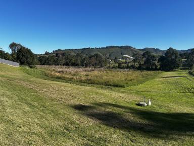 Residential Block For Sale - NSW - Coffs Harbour - 2450 - Stunning views in a sought after neighbourhood.  (Image 2)