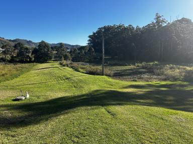 Residential Block For Sale - NSW - Coffs Harbour - 2450 - Stunning views in a sought after neighbourhood.  (Image 2)