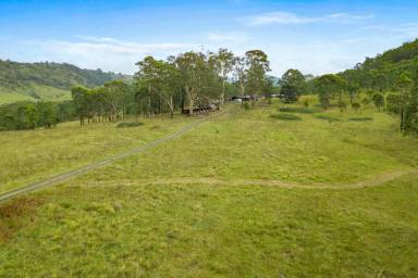 Other (Rural) For Sale - NSW - Weismantels - 2415 - STROUD & GLOUCESTER ONLY MINUTES AWAY  (Image 2)