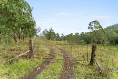 Other (Rural) For Sale - NSW - Weismantels - 2415 - STROUD & GLOUCESTER ONLY MINUTES AWAY  (Image 2)