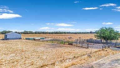Mixed Farming Sold - WA - Boyanup - 6237 - Under Contract by Paul Clarke  (Image 2)