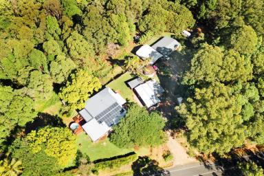 Acreage/Semi-rural Sold - QLD - Palmwoods - 4555 - Palmwoods Acreage Gem  (Image 2)