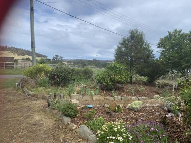 House For Sale - TAS - Triabunna - 7190 - Oversized Stone Cottage on 1 Acre A True Oasis by the Sea  (Image 2)