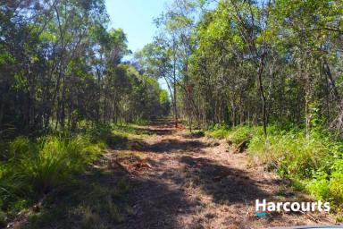Lifestyle For Sale - QLD - Buxton - 4660 - 689 ACRES OF BUSHLAND - WITH SALT WATER ESTUARY LEADING INTO GREGORY RIVER  (Image 2)