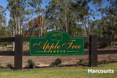 Residential Block For Sale - QLD - Apple Tree Creek - 4660 - Stage 2 Apple Tree Grove - 2000 sqm and up from $180,000 to $240,000.  (Image 2)