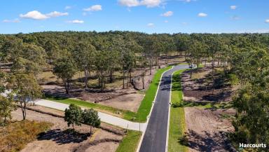 Residential Block For Sale - QLD - Apple Tree Creek - 4660 - HALF ACRE LAND FROM $170,000!  (Image 2)