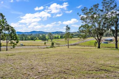 Residential Block For Sale - NSW - East Gresford - 2311 - Soaring Valley Views  (Image 2)