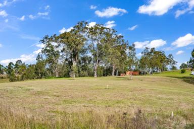 Residential Block For Sale - NSW - East Gresford - 2311 - Soaring Valley Views  (Image 2)