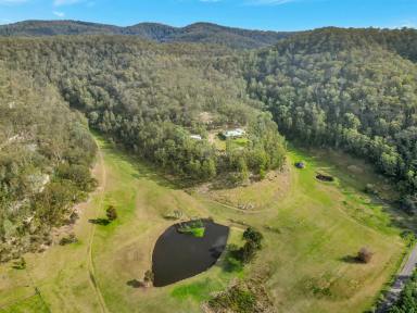 Acreage/Semi-rural For Sale - NSW - Wollombi - 2325 - 'Alkira' - Quality Homestead on a Glorious Acreage  (Image 2)