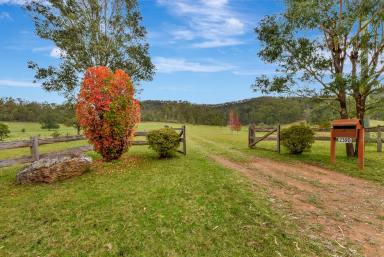 Acreage/Semi-rural For Sale - NSW - Wollombi - 2325 - 'Alkira' - Quality Homestead on a Glorious Acreage  (Image 2)
