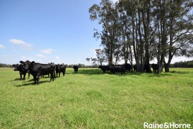 Acreage/Semi-rural For Lease - NSW - Pyree - 2540 - Land available for Lease  (Image 2)