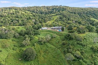 House For Sale - QLD - Wights Mountain - 4520 - Spectacular Views. Dual Residence Showcased Upon 80 Acres!  (Image 2)