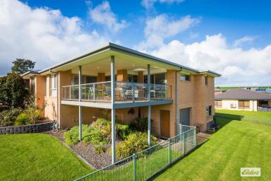 House For Sale - NSW - Bega - 2550 - GLEN MIA FAMILY HOME  (Image 2)