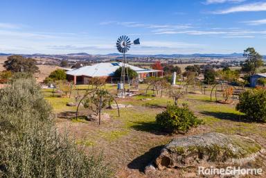 House For Sale - NSW - Maxwell - 2650 - Serene Views, Lifestyle and Privacy  (Image 2)