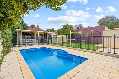 House Sold - WA - East Victoria Park - 6101 - Swimming Pool | Character Weatherboard | 3 Bedroom | 430m2  (Image 2)