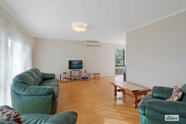 House For Sale - NSW - Bega - 2550 - AFFORDABLE BRICK IN BEGA  (Image 2)