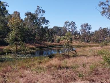Residential Block For Sale - QLD - Monduran - 4671 - 69.1 Acres only five minutes out of Gin Gin Qld  (Image 2)
