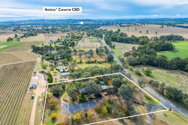 Lifestyle For Sale - NSW - Cowra - 2794 - 33YR EST QUARRY RESTURANT + FAMILY HOME + RESTURANT / OR SECOND HOME ON 3.18ACRES*! IDEAL RENTAL OPPORTUNITY  (Image 2)