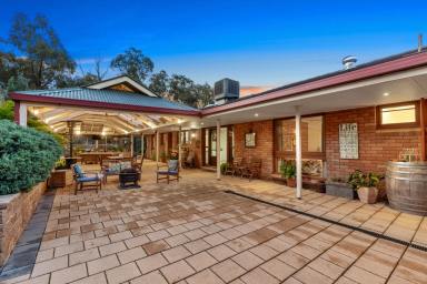 House For Sale - VIC - White Hills - 3550 - Rural Living, Suburban Locale  (Image 2)