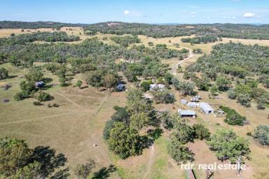 Mixed Farming For Sale - NSW - Armidale - 2350 - BONSANTE - SHEEP, CATTLE & GOATS  (Image 2)