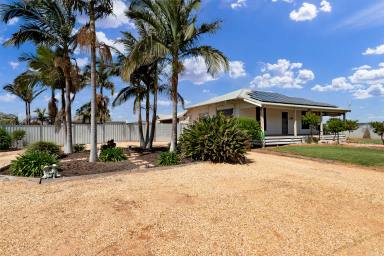 House Sold - VIC - Red Cliffs - 3496 - Modern Comforts Meet Outdoor Bliss  (Image 2)