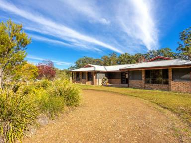 House For Sale - NSW - Old Bar - 2430 - MODERN HOME ON SMALL ACRES  (Image 2)