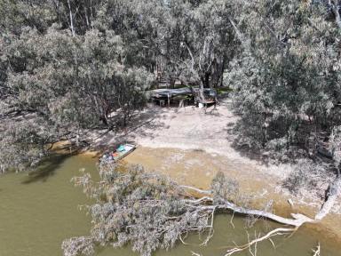 Lifestyle For Sale - VIC - Benjeroop - 3579 - MURRAY RIVER FRONTAGE!!! PRICE REDUCED  (Image 2)