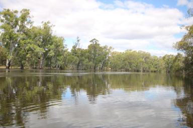 Lifestyle For Sale - VIC - Benjeroop - 3579 - MURRAY RIVER FRONTAGE!!!  (Image 2)