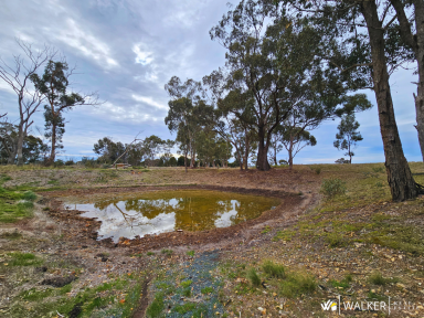 Lifestyle For Sale - VIC - Rushworth - 3612 - "Pump Shed"  (Image 2)