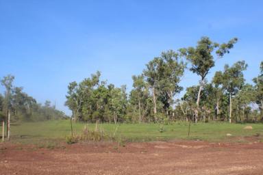 House For Sale - NT - Eva Valley - 0822 - Fully Fenced 20 Acres  (Image 2)