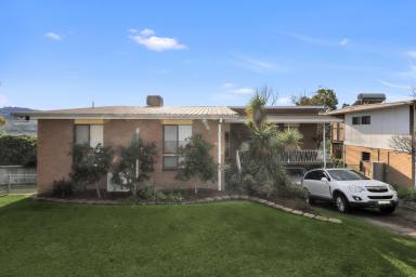 House Sold - NSW - Tumut - 2720 - Spacious Family home with Picturesque Views  (Image 2)