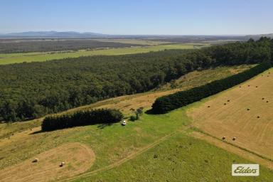 Other (Rural) For Sale - VIC - Alberton West - 3971 - THE RIDGE  (Image 2)